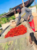 Burundi: Busasa