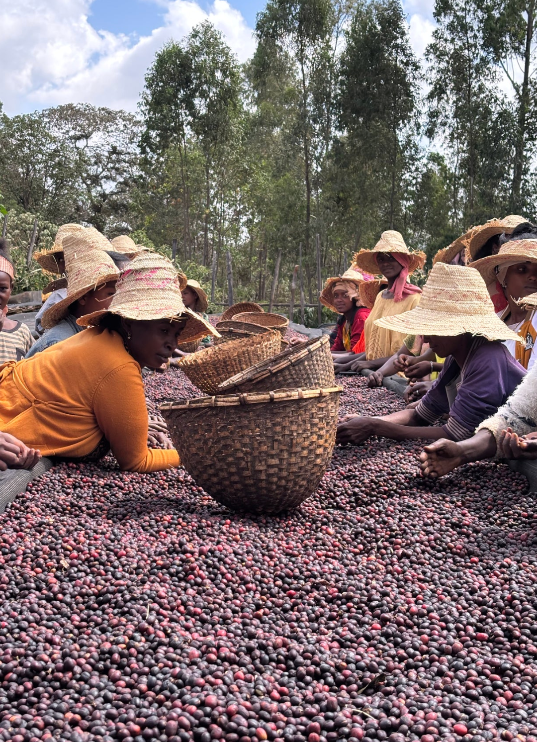 Ethiopia: Bette Buna