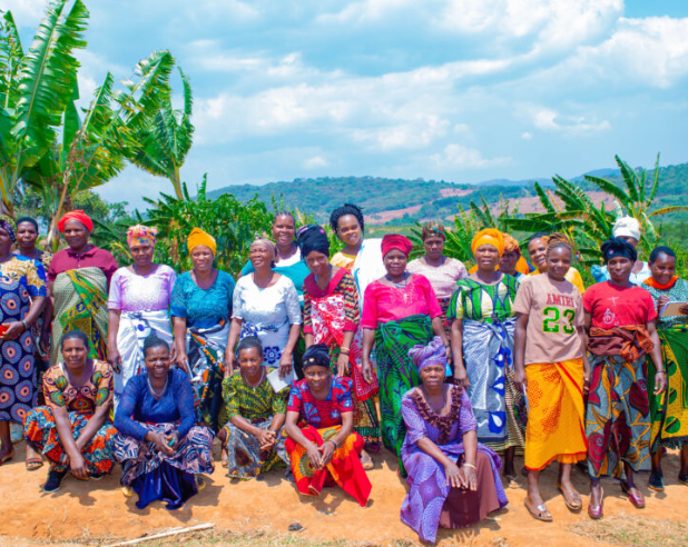 Tanzania: Usawa Kahawa