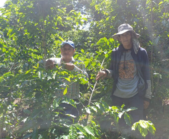 Mexico: Decaf Rio Blanco