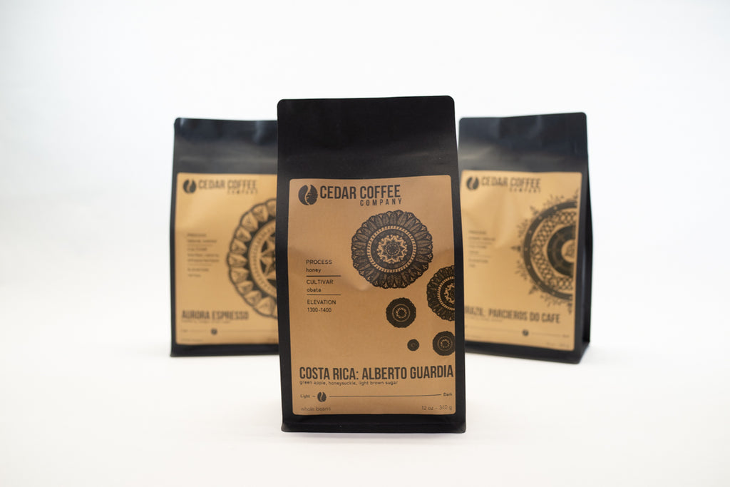 Costa Rica: Alberto Guardia