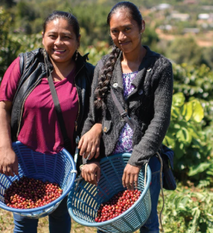 Guatemala: Manos de Mujer
