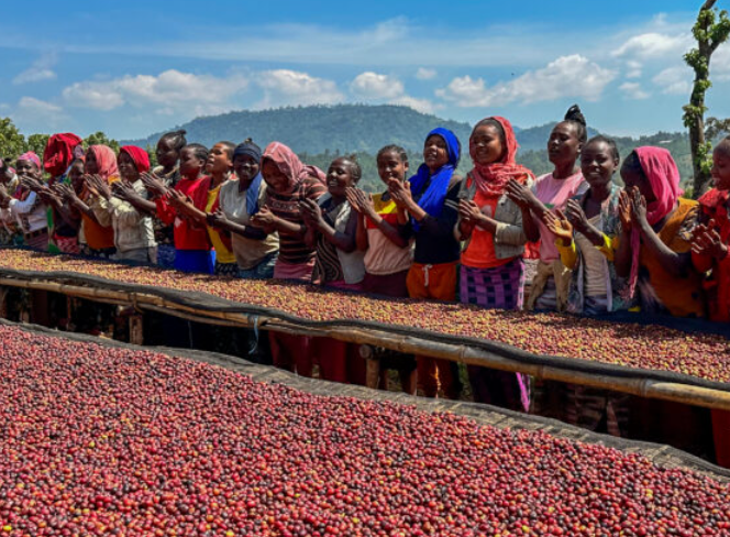 Ethiopia: Shanta Golba