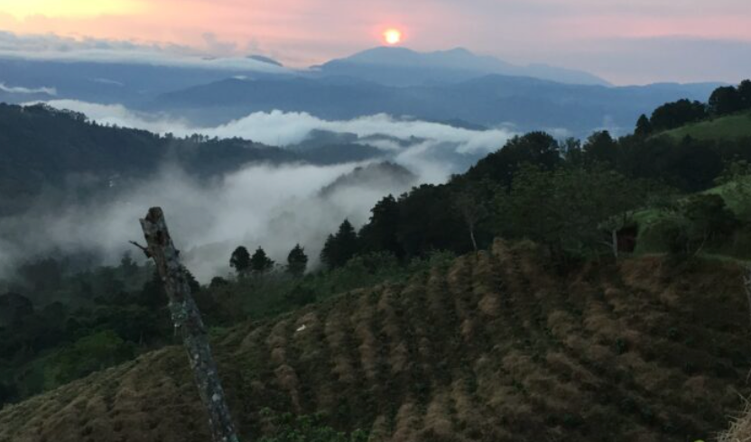 Costa Rica: San Rafael Tarrazu