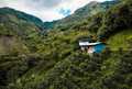 Columbia: Tolima Decaf
